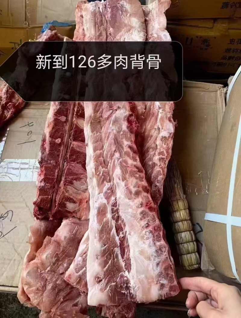 126多肉龙骨