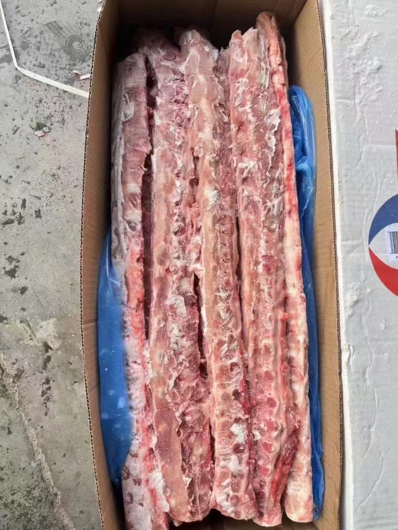 147多肉龙骨