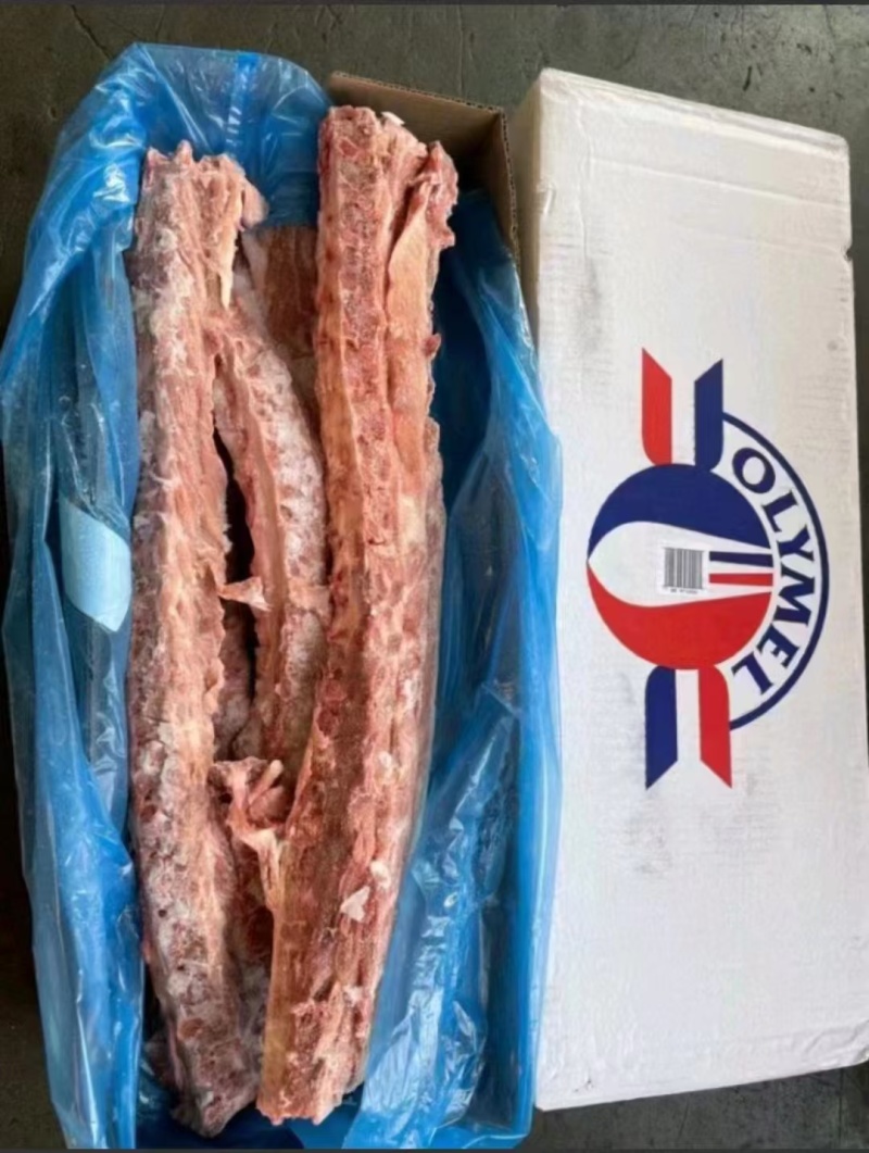 147多肉龙骨