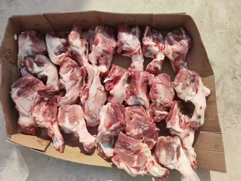 160后肘骨