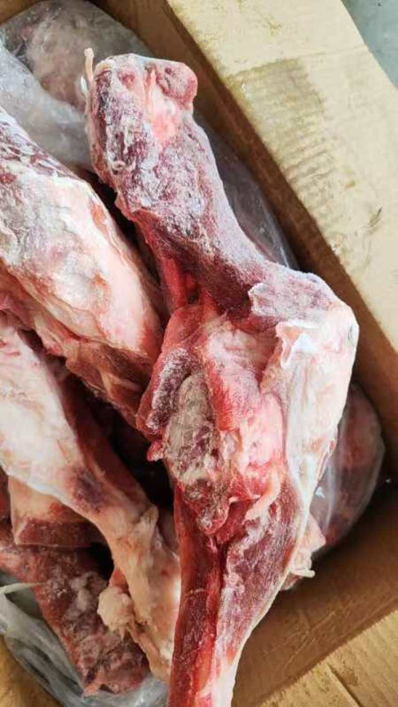 后腿骨