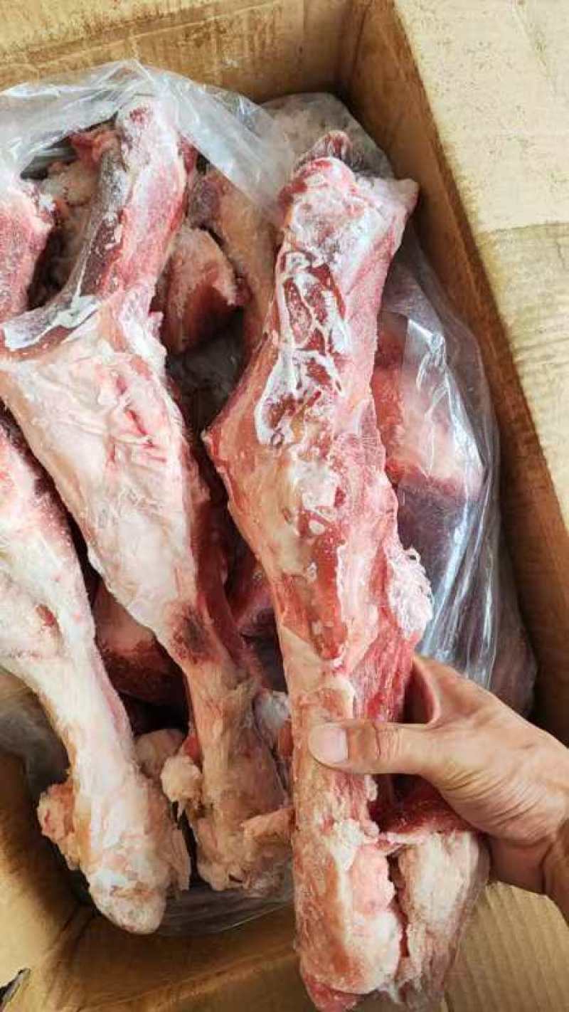 后腿骨