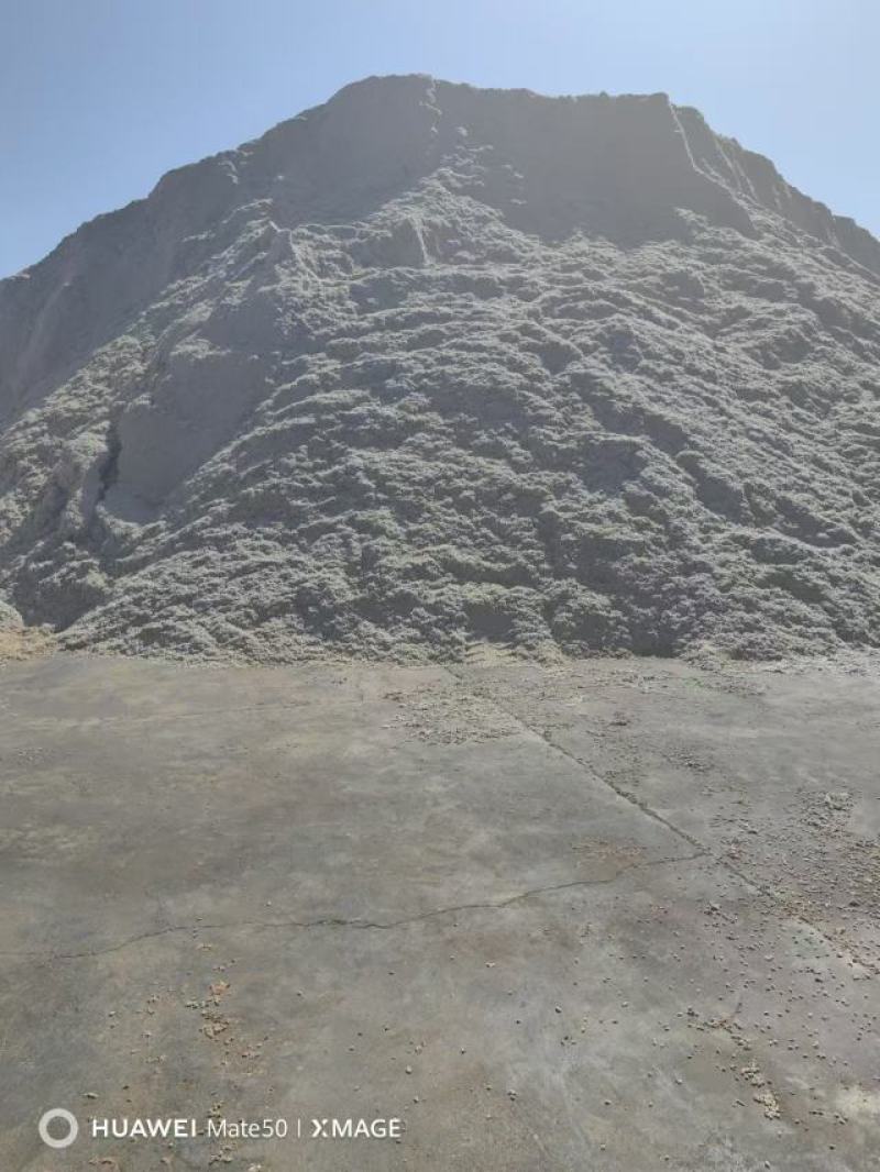 大量出优质棉籽