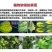 肥料