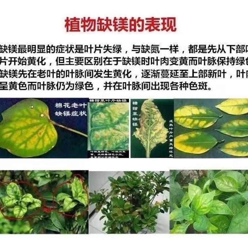 肥料