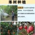 肥料