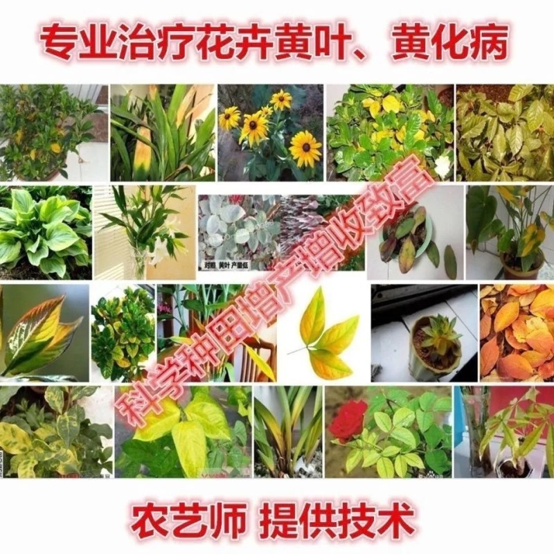 肥料