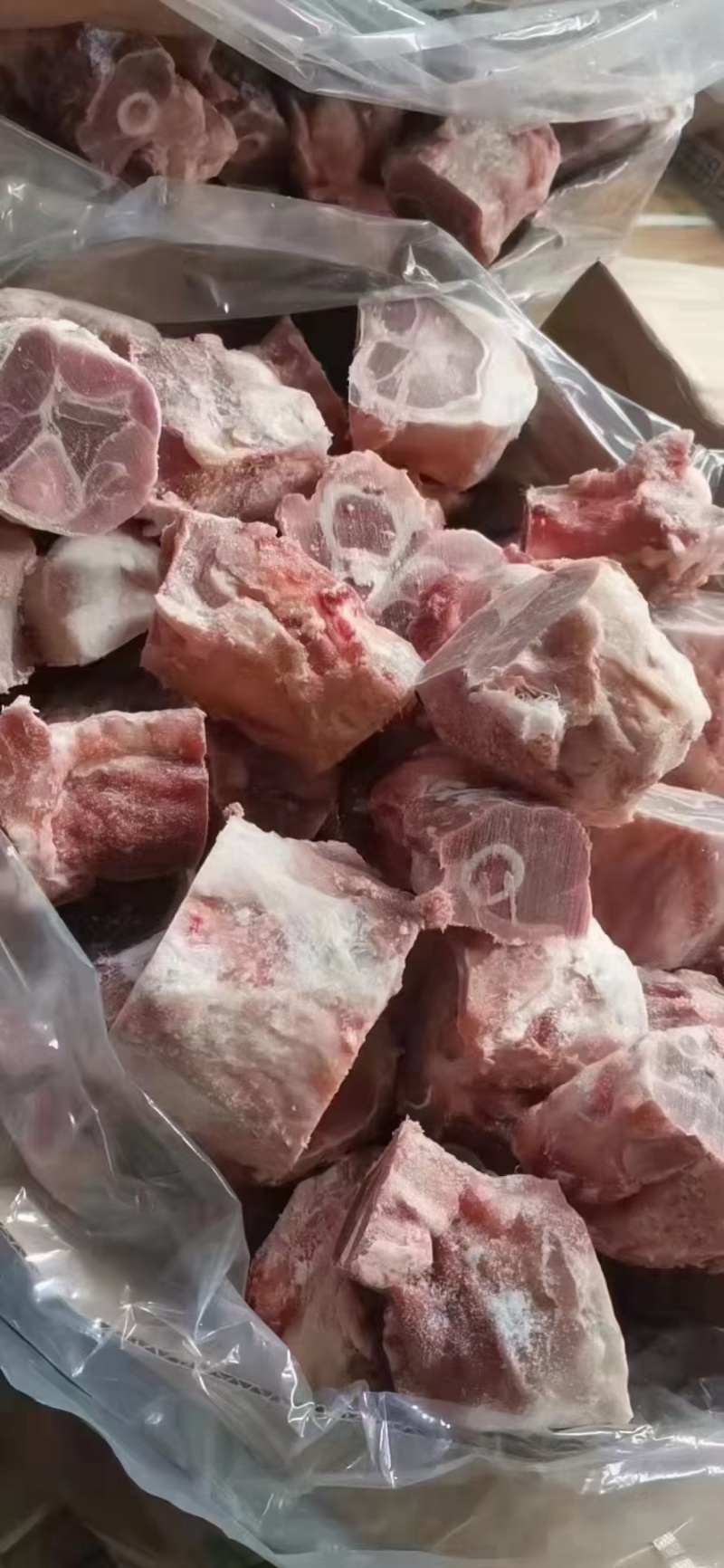 带键后腿骨切块