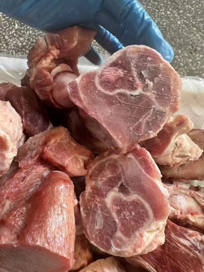 带键后腿骨切块