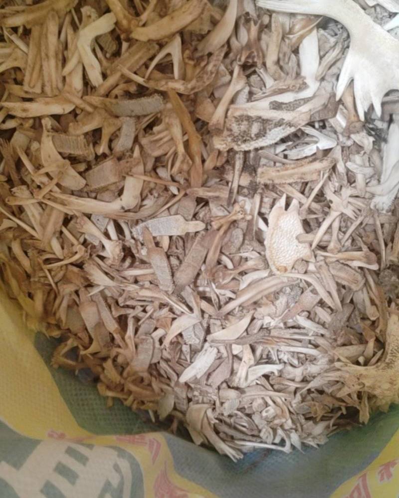 甲鱼壳安徽甲鱼壳货源充足，量大从优欢迎老板电话联系