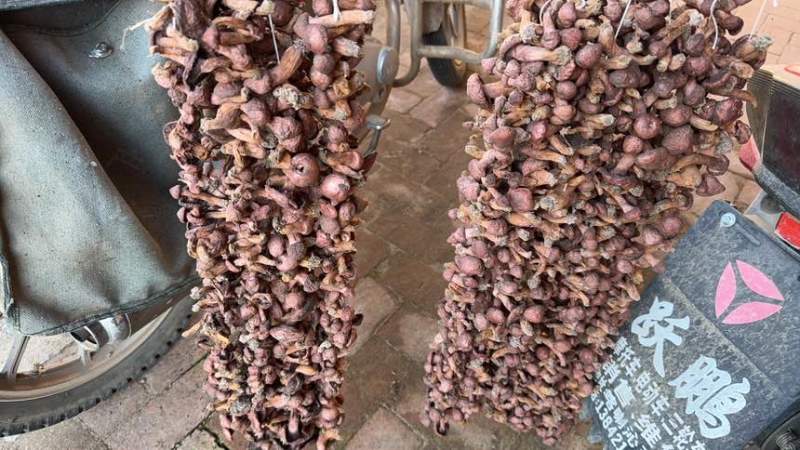 野生菌，红蘑干货，大量出售
