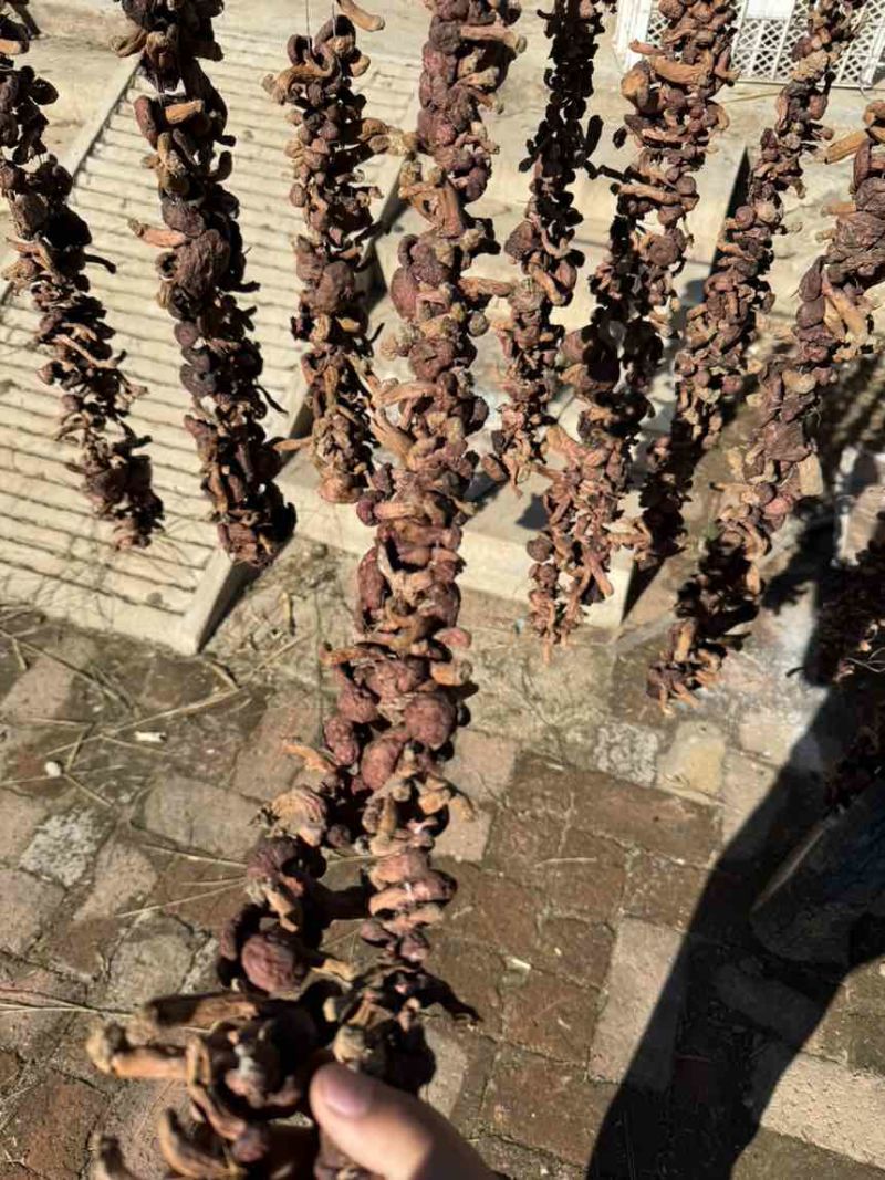 野生菌，红蘑干货，大量出售