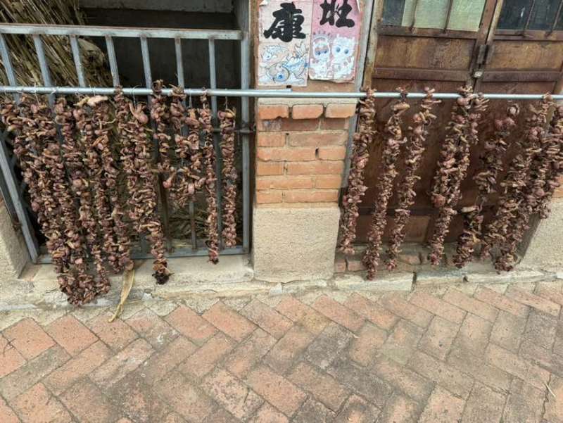 野生菌，红蘑干货，大量出售
