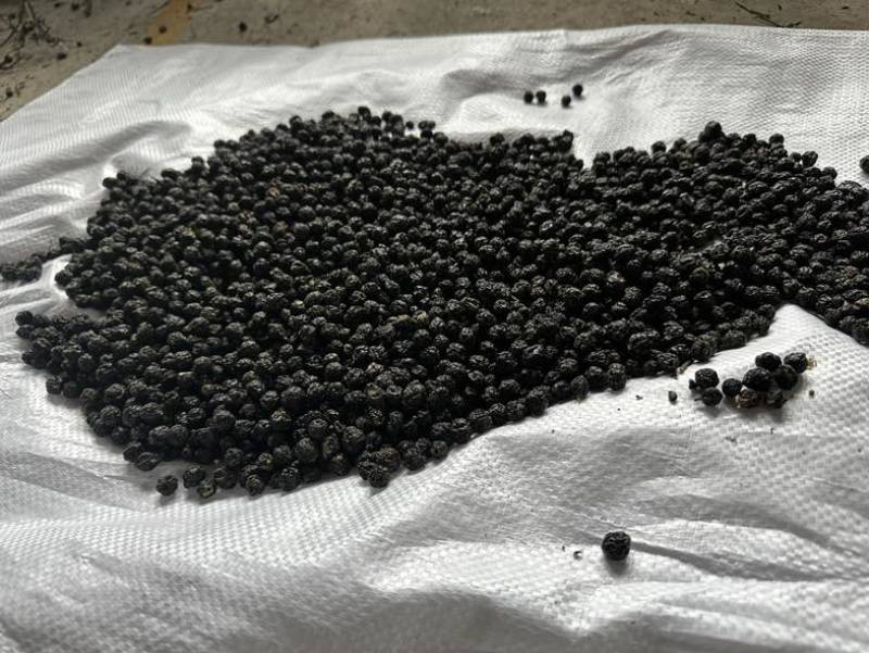 黄柏货源专业供应新鲜到位自产自销随时有货诚信为本