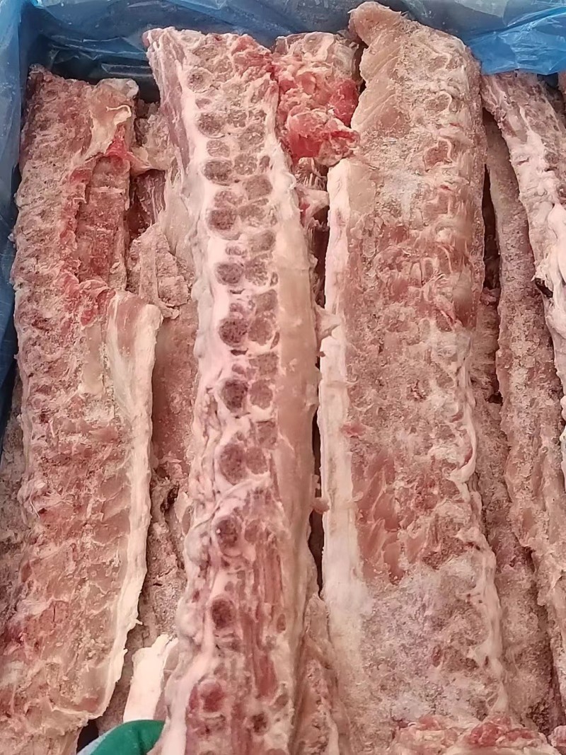 猪龙骨大量库存量大从优