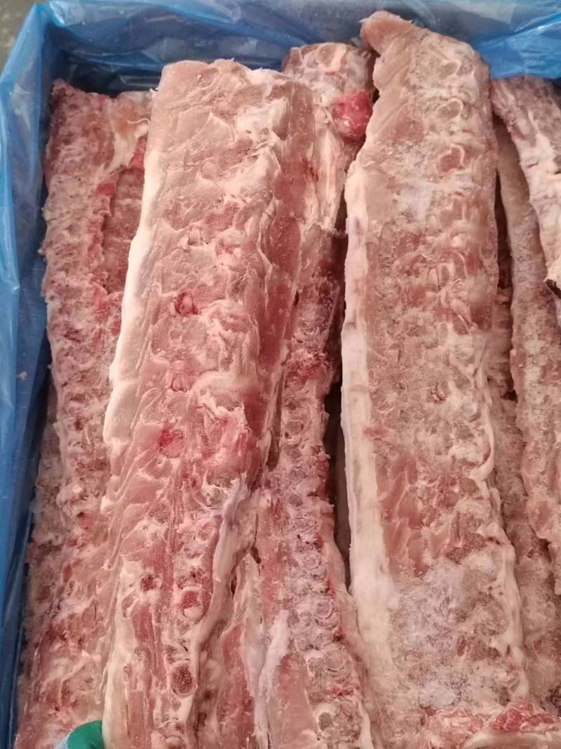 猪龙骨大量库存量大从优