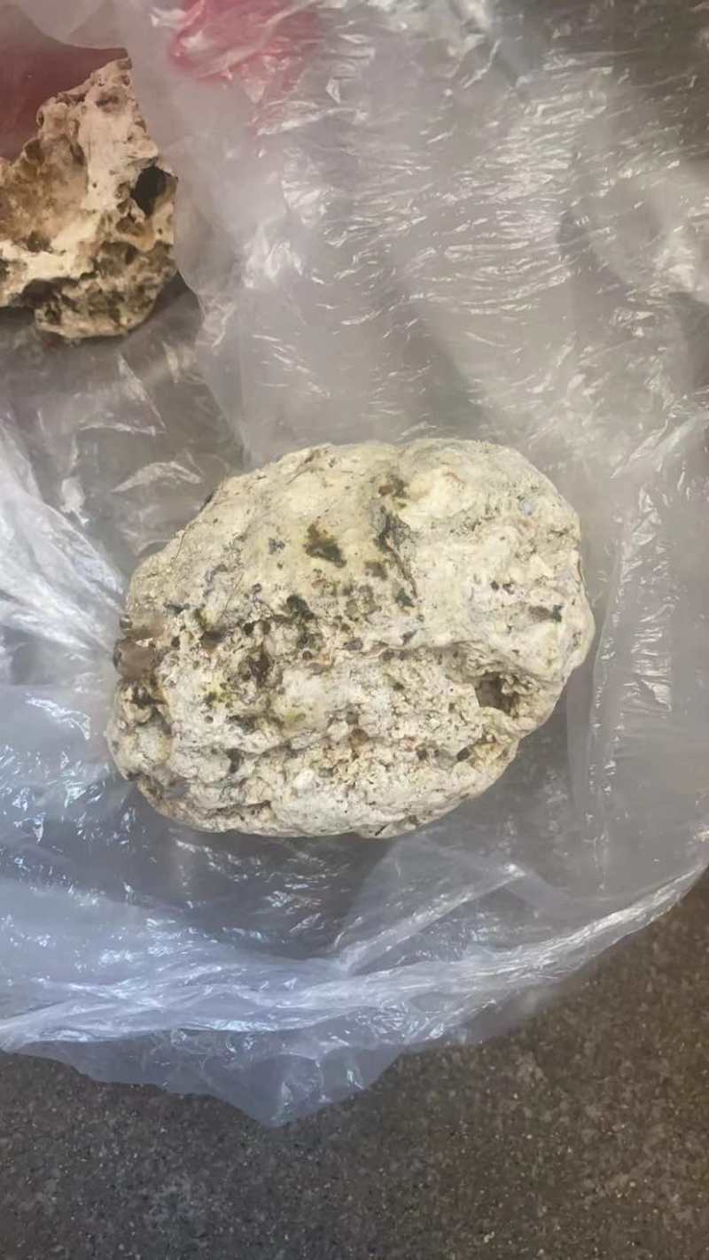 天然龙涎香