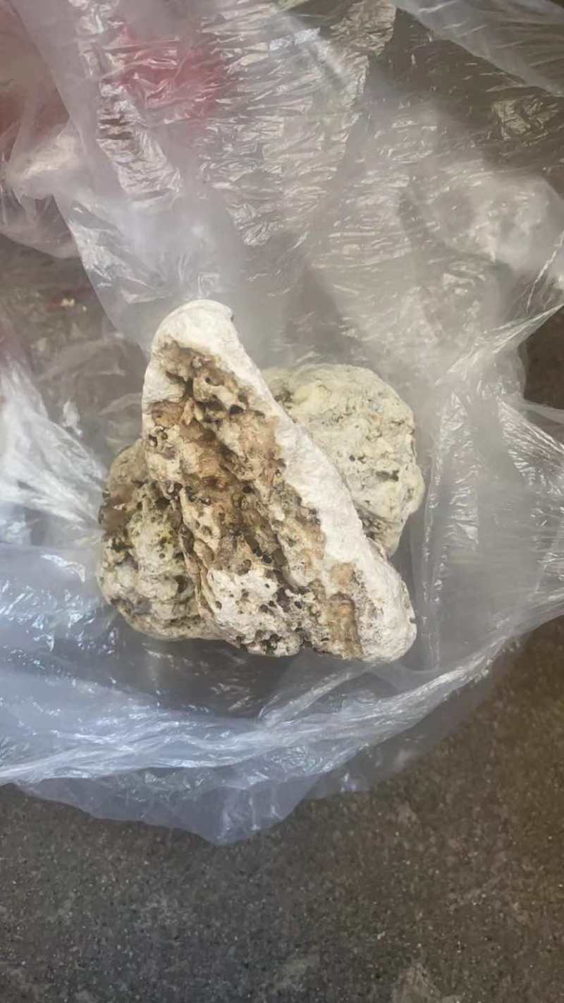 天然龙涎香