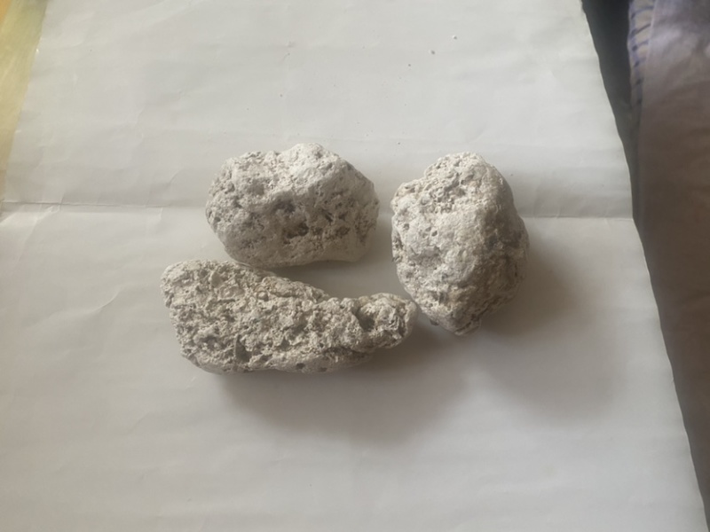 天然龙涎香