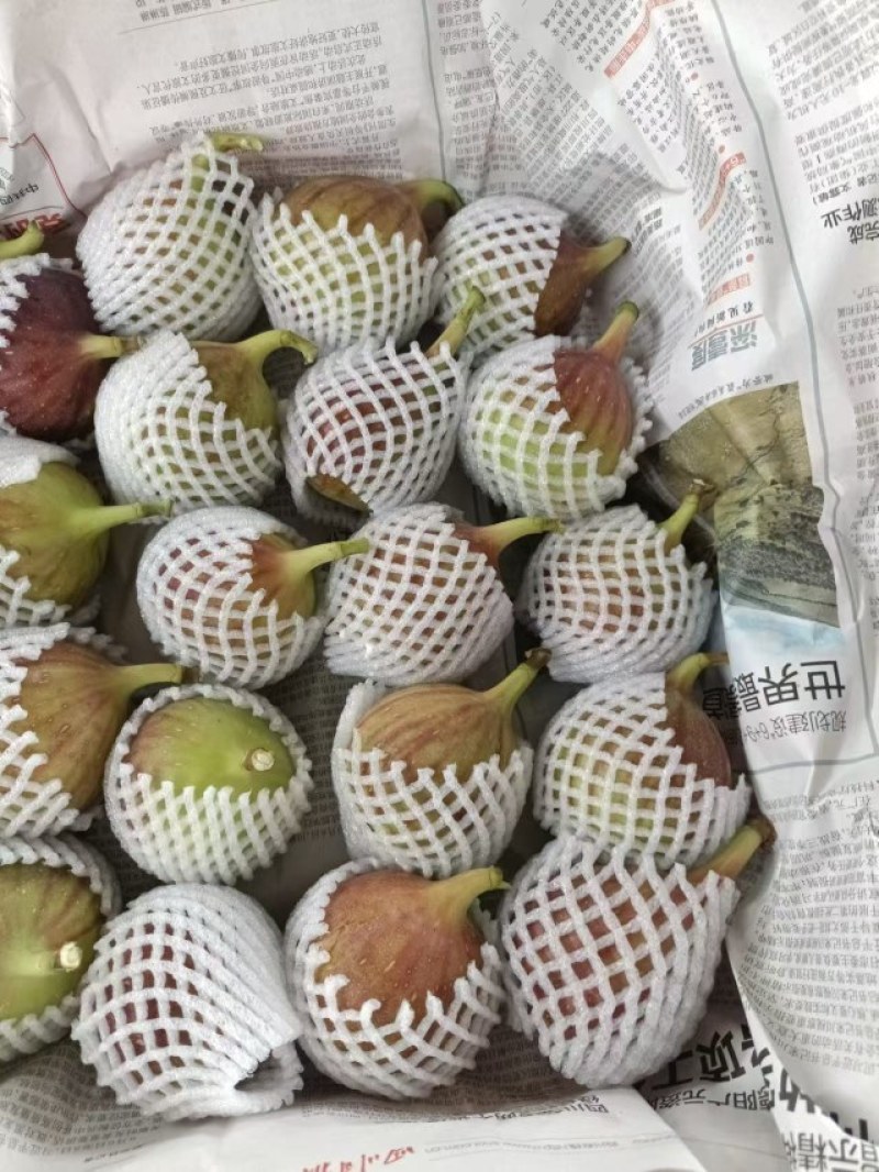 无花果四川基地直发，冷链，空运，整车，一件代发，保质保量，