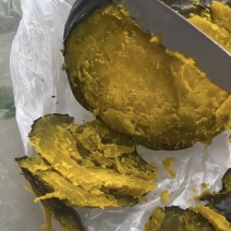 山东贝贝南瓜，爆粉，干粉面甜，各种品质各种规格