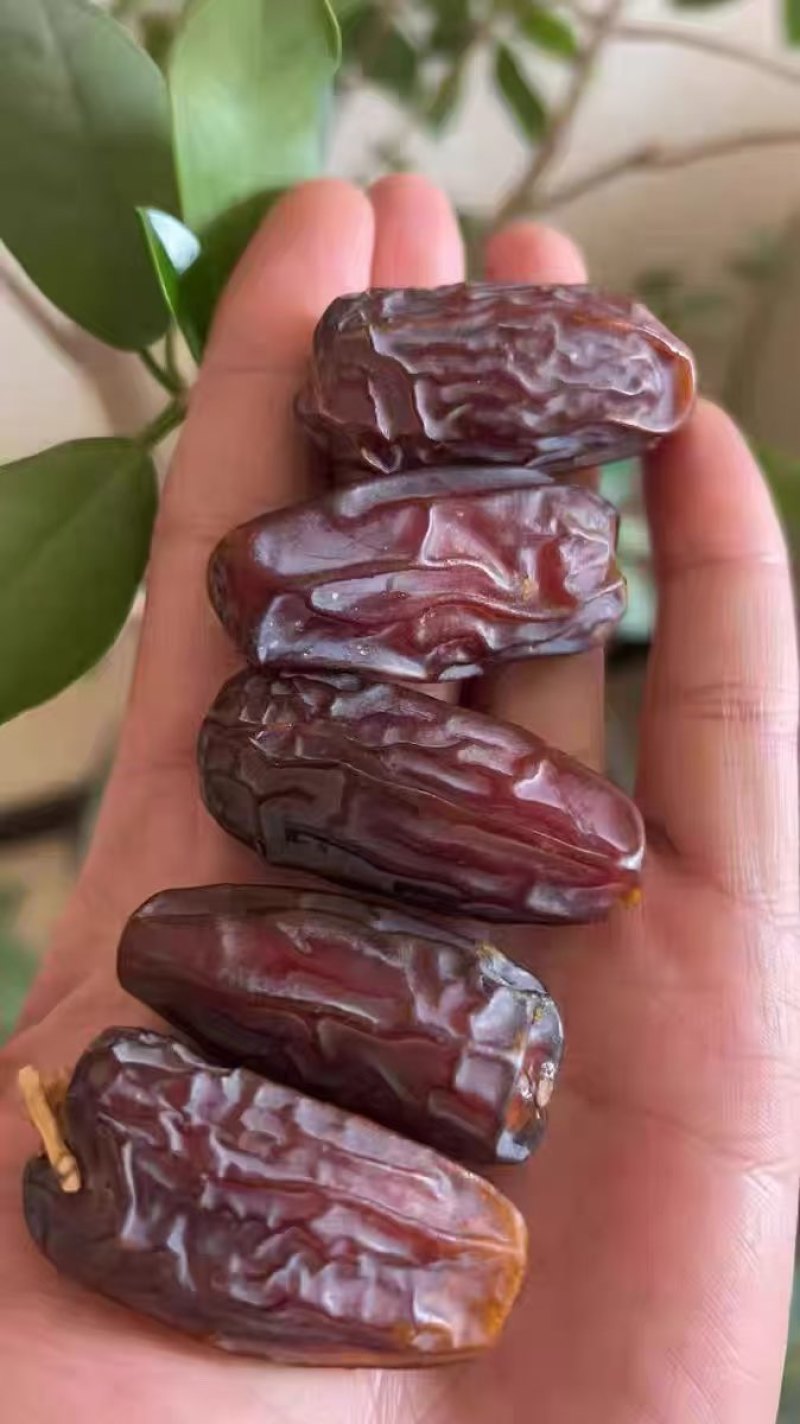 沙特阿拉伯椰枣