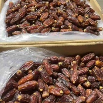 沙特阿拉伯椰枣