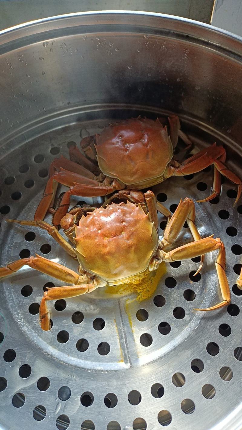 大闸蟹