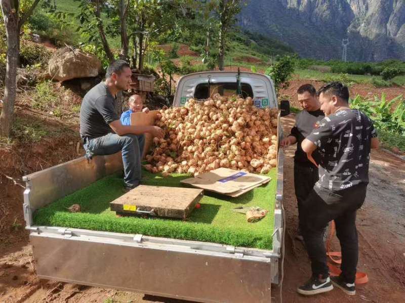 自家种的，香甜可口
