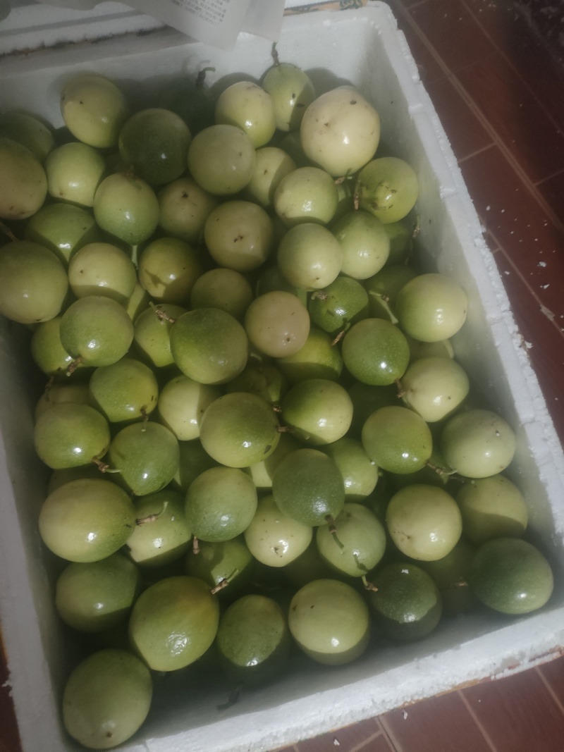 钦蜜九号黄金百香果