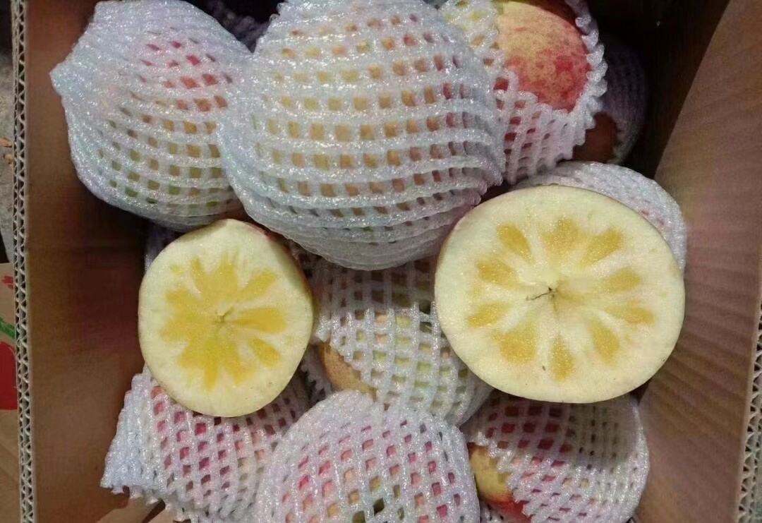 美八苹果切开示意图