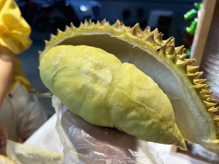 金腰榴莲与金枕榴莲对比图