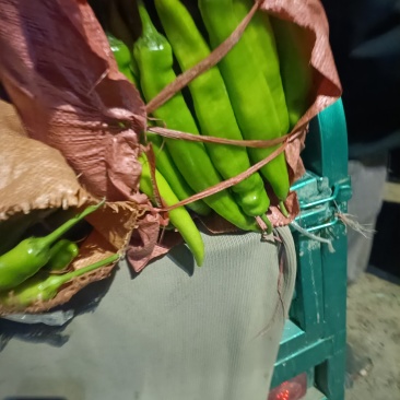 黄皮尖椒