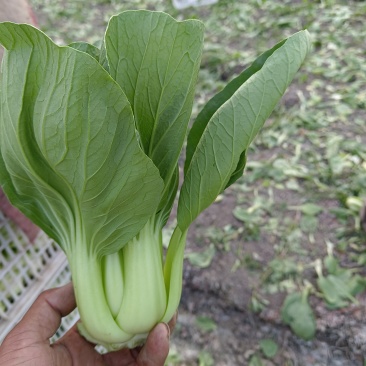 大量供应超市食堂