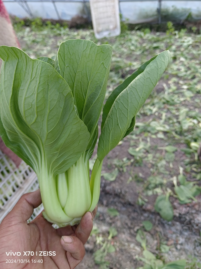 大量供应超市食堂