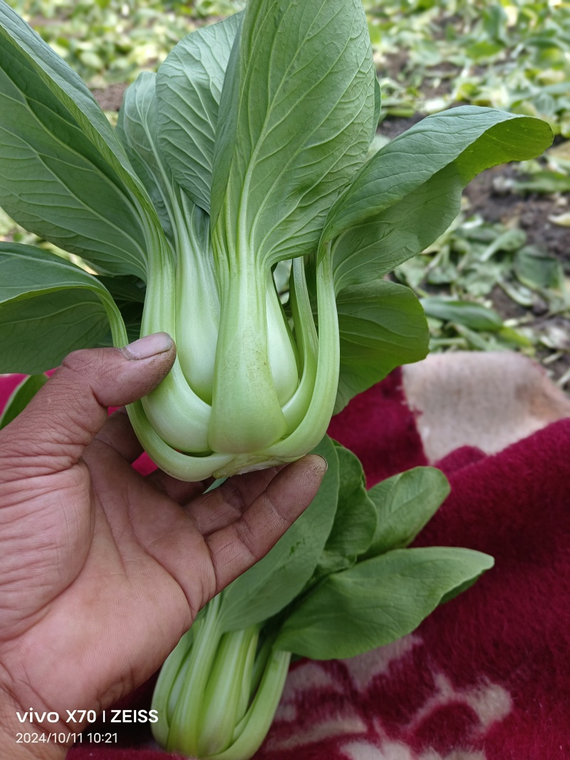 大量供应超市食堂