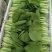大量供应超市食堂