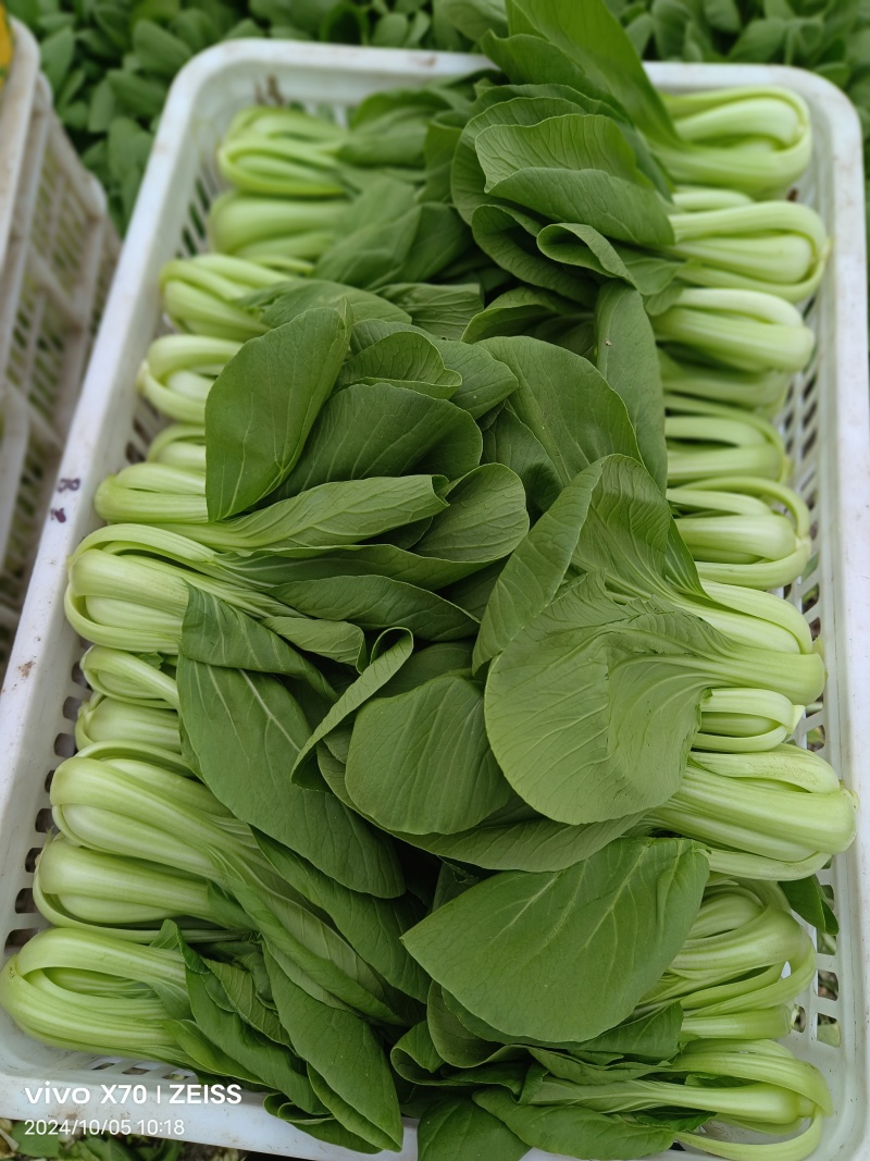 大量供应超市食堂