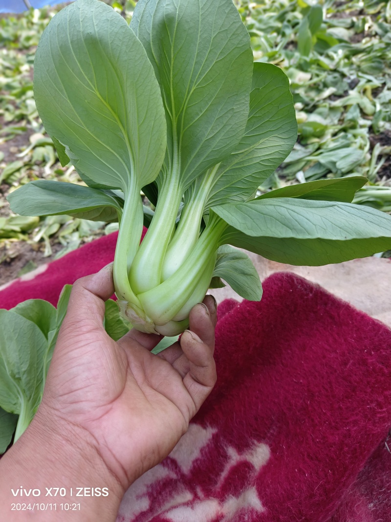 大量供应超市食堂