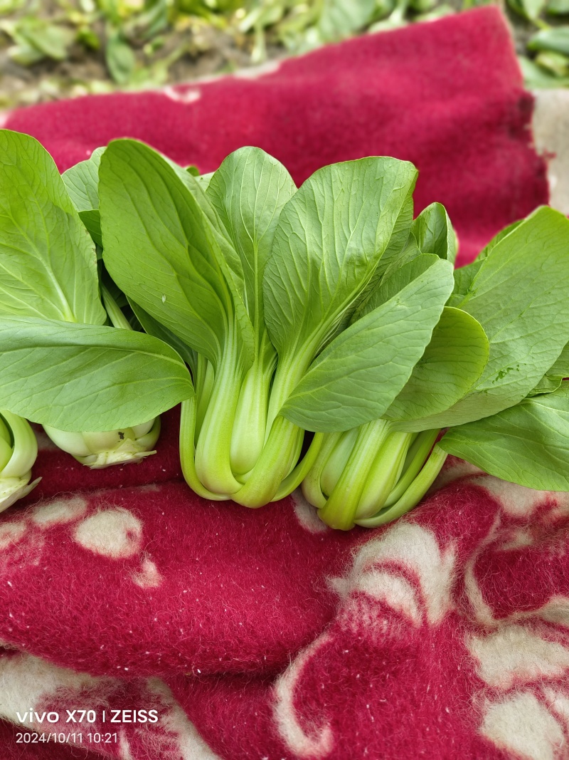 大量供应超市食堂