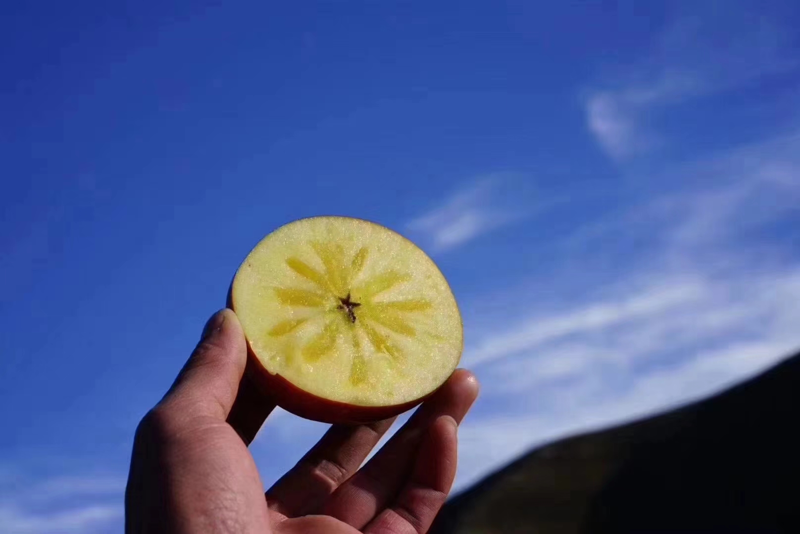 一颗成熟饱满的红富士苹果,果皮呈鲜亮的深红色,带有自然光泽,表面无明显瑕疵,背景为果园中的阳光照射下的果树,突出果实的新鲜与自然生长环境 红富士苹果特写