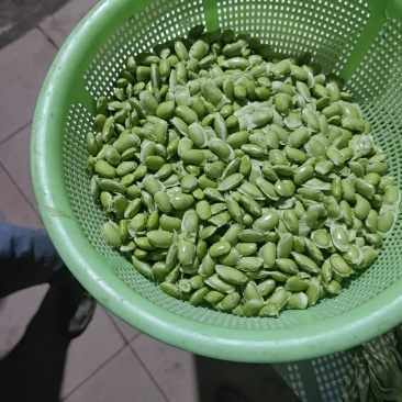 绿宝石毛豆