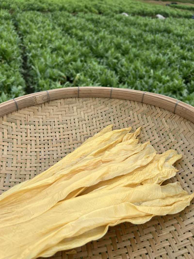 广西黄豆腐竹