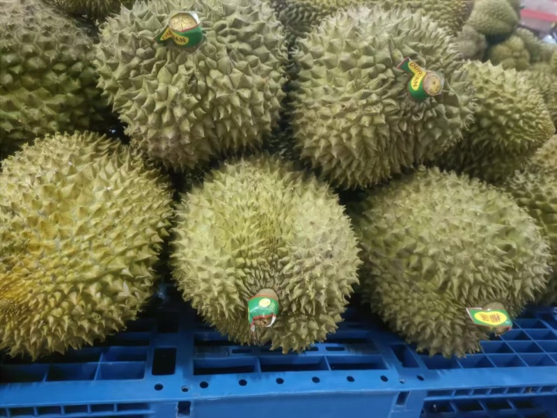 金枕榴莲