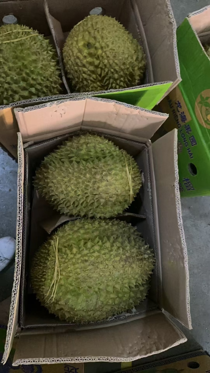 金枕榴莲