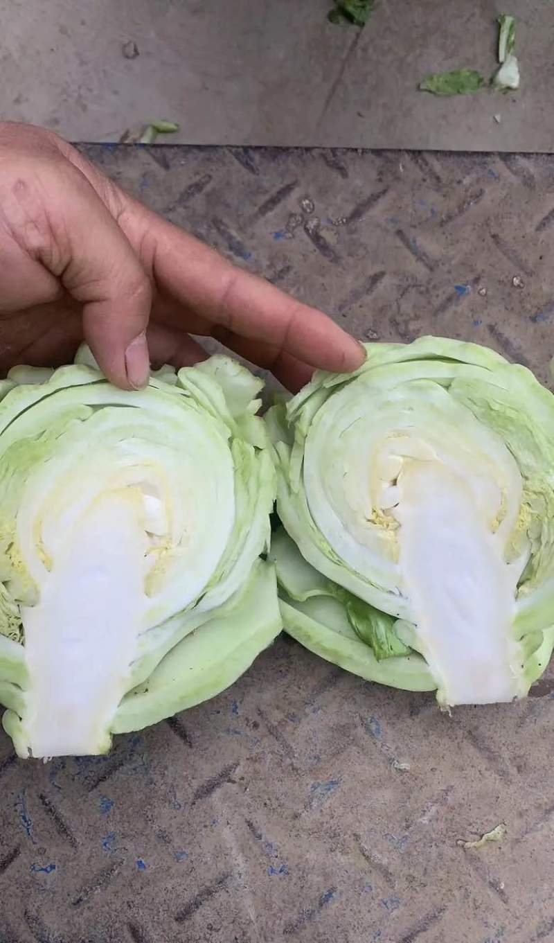 芥包菜