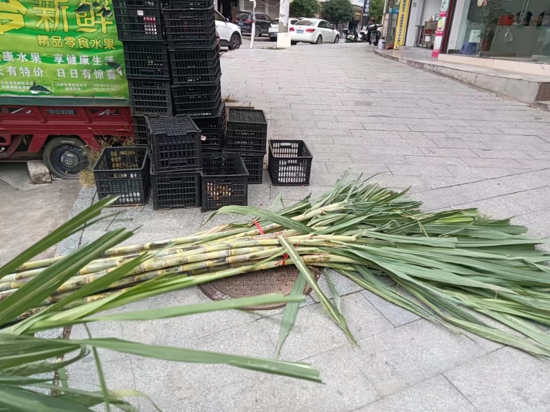 今年新货大量批发千万不要错过时机哦