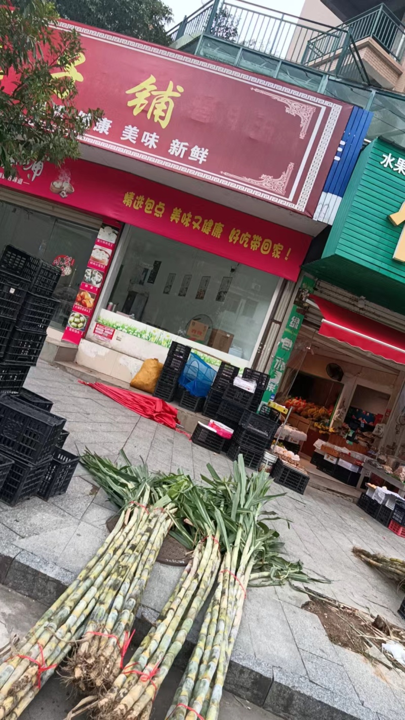 今年新货大量批发千万不要错过时机哦