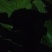 山东芥菜疙瘩