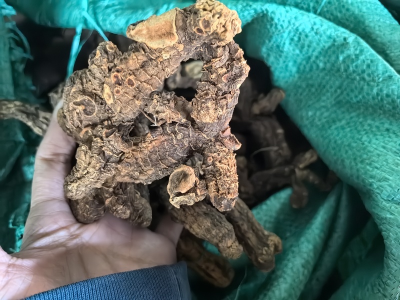 野生黄精干货